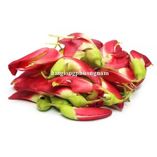 1 Gram - Hạt Giống So Đũa Tứ Quý Thái Bông Đỏ Phương Nam