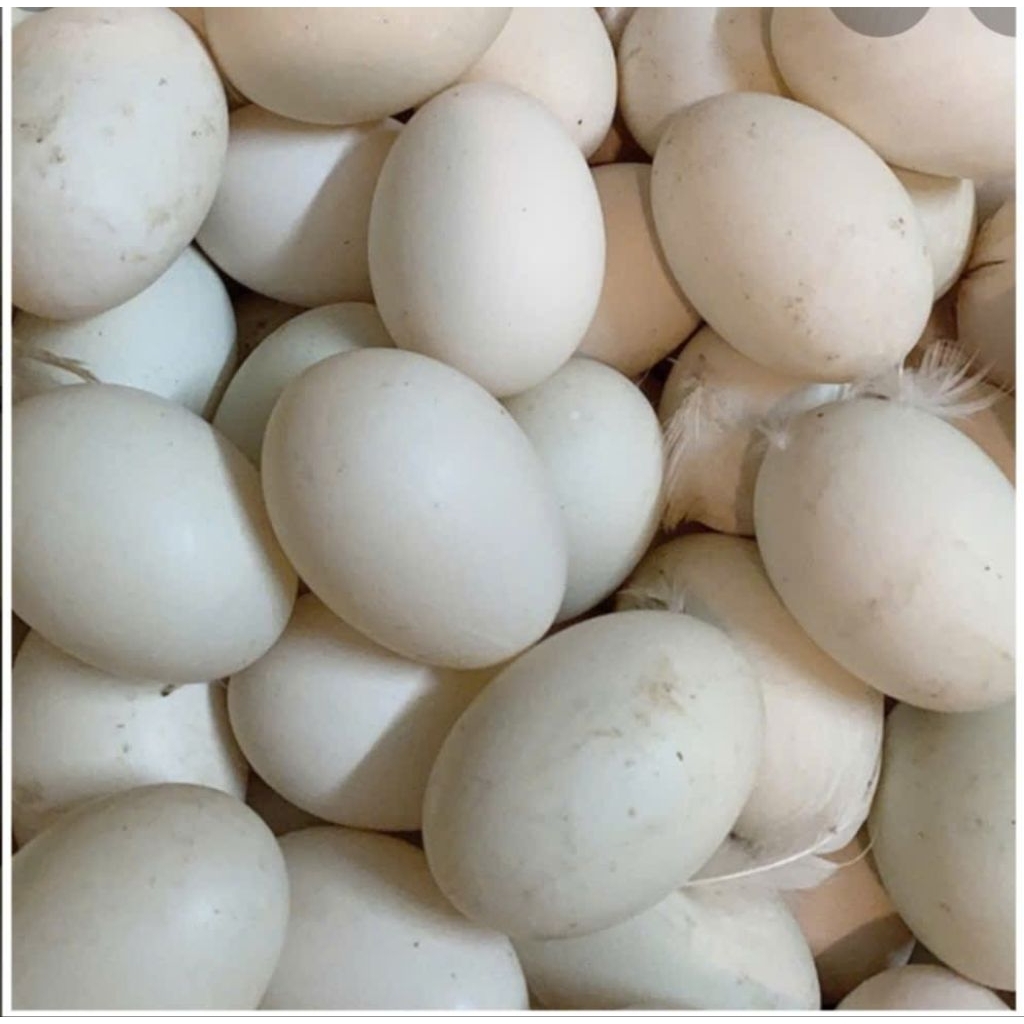 Trứng vịt đồng 1 vỉ