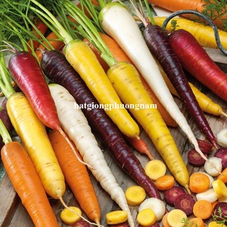 50h - Hạt Giống Cà Rốt Nhiều Màu Mix Phương Nam