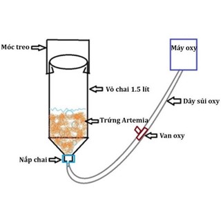 Bộ ấp artemia ấp nở