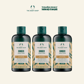 Combo 3 Dầu Gội Gừng Giảm Gàu Ginger Scalp Care Shampoo 250ml The Body Shop