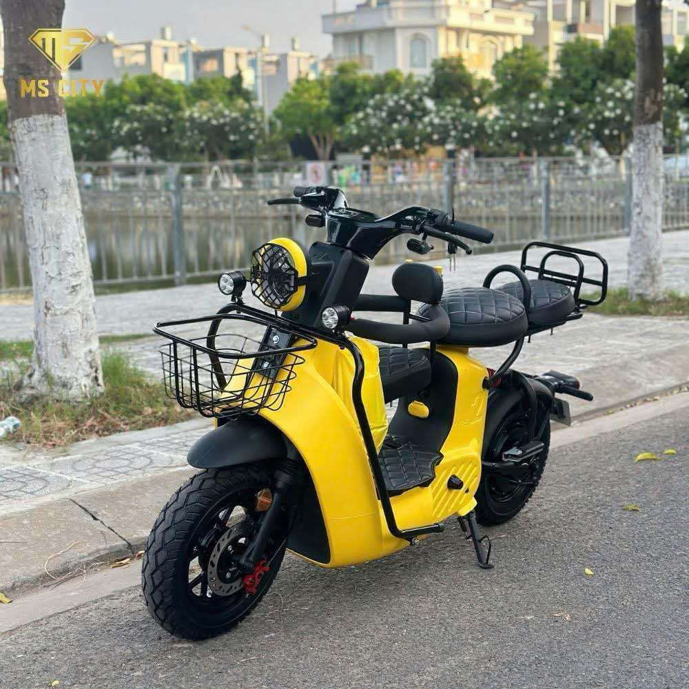 ✴️Xe điện Type2 Discovery bản khám phá - phong cách thể thao - Bản mới nâng cấp 5 bình | BigBuy360 - bigbuy360.vn