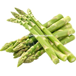 1 Gram - Hạt Giống Măng Tây Xanh Phương Nam