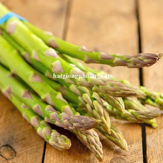 1 Gram - Hạt Giống Măng Tây Xanh Phương Nam