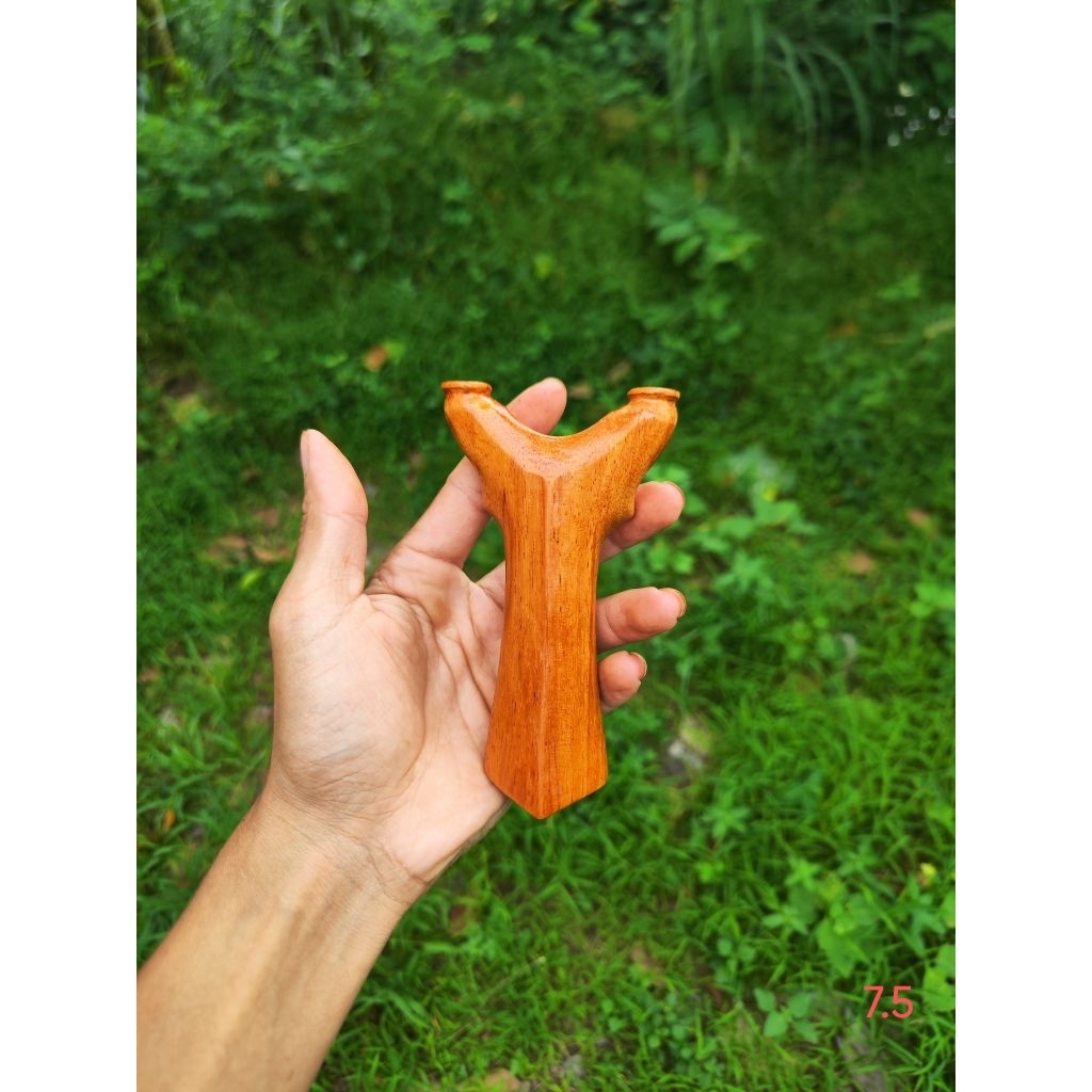 Ná gỗ Hương đá VIP