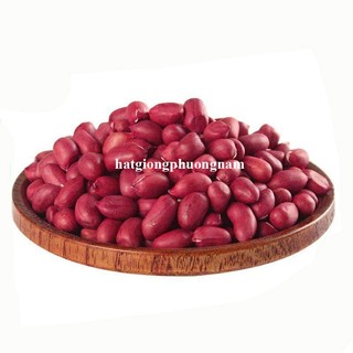 20 Gram - Hạt Giống Đậu Phộng (Lạc) Phương Nam