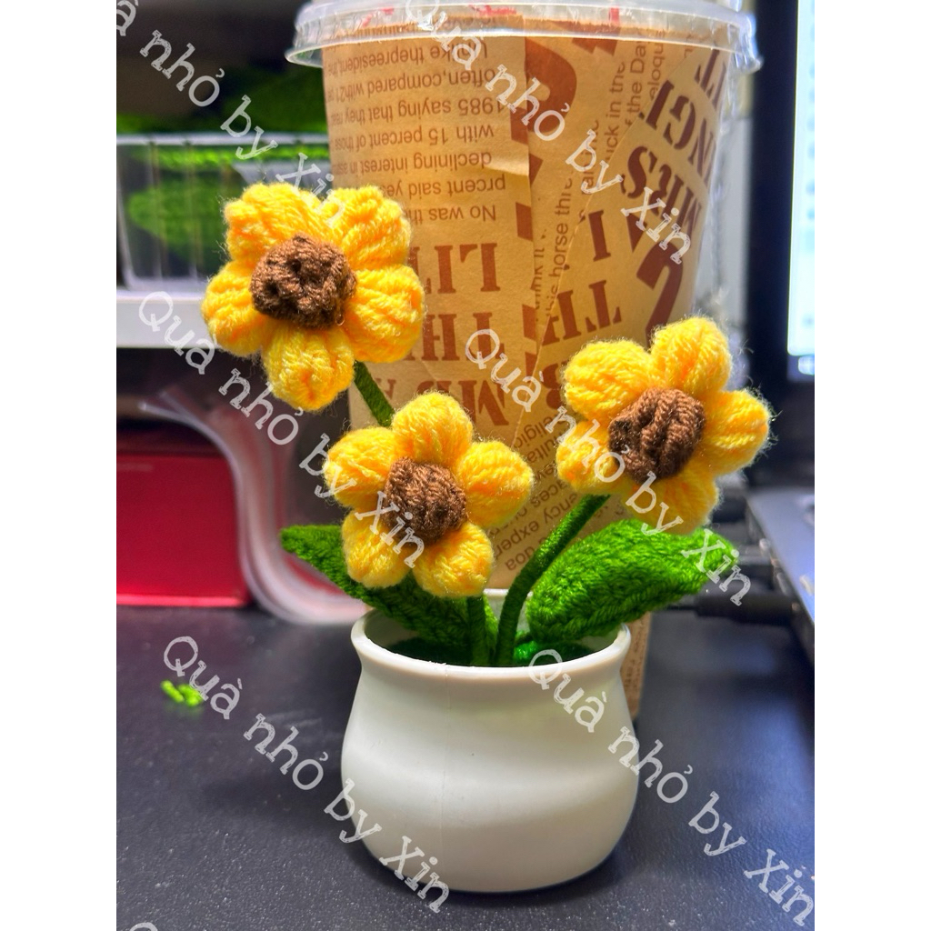 [H06] Chậu cây mini handmade bằng len