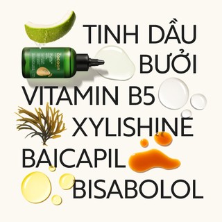 Tinh Dầu Bưởi Dưỡng Tóc Cocoon 140ml