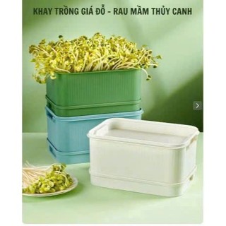  Khay Làm Giá Đỗ Có Nắp Đậy Khay Thủy Sinh Dụng Cụ Trồng Rau Mầm Không Dùng Đất,Không Dùng Hoá Chất Babee 