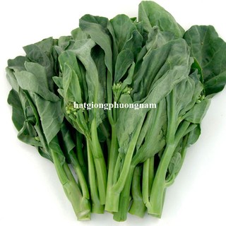5 Gram - Hạt Giống Cải Rổ Phương Nam