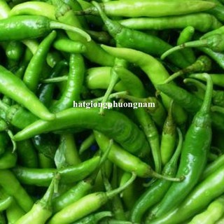 0,5 Gram - Hạt Giống Ớt Xiêm Phương Nam
