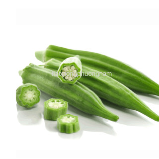 20 Gram - Hạt  Giống Đậu Bắp Phương Nam