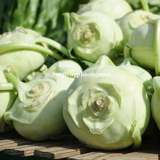 2 Gram  - Hạt Giống Su Hào Xanh Phương Nam