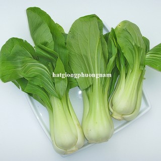 20 Gram - Hạt Giống Cải Thìa Phương Nam