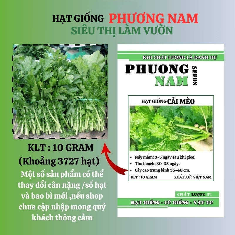 10 Gram - Hạt Giống Cải Mèo Phương Nam