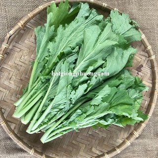 10 Gram - Hạt Giống Cải Mèo Phương Nam