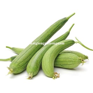 2 Gram - Hạt Giống Mướp Hương  Phương Nam