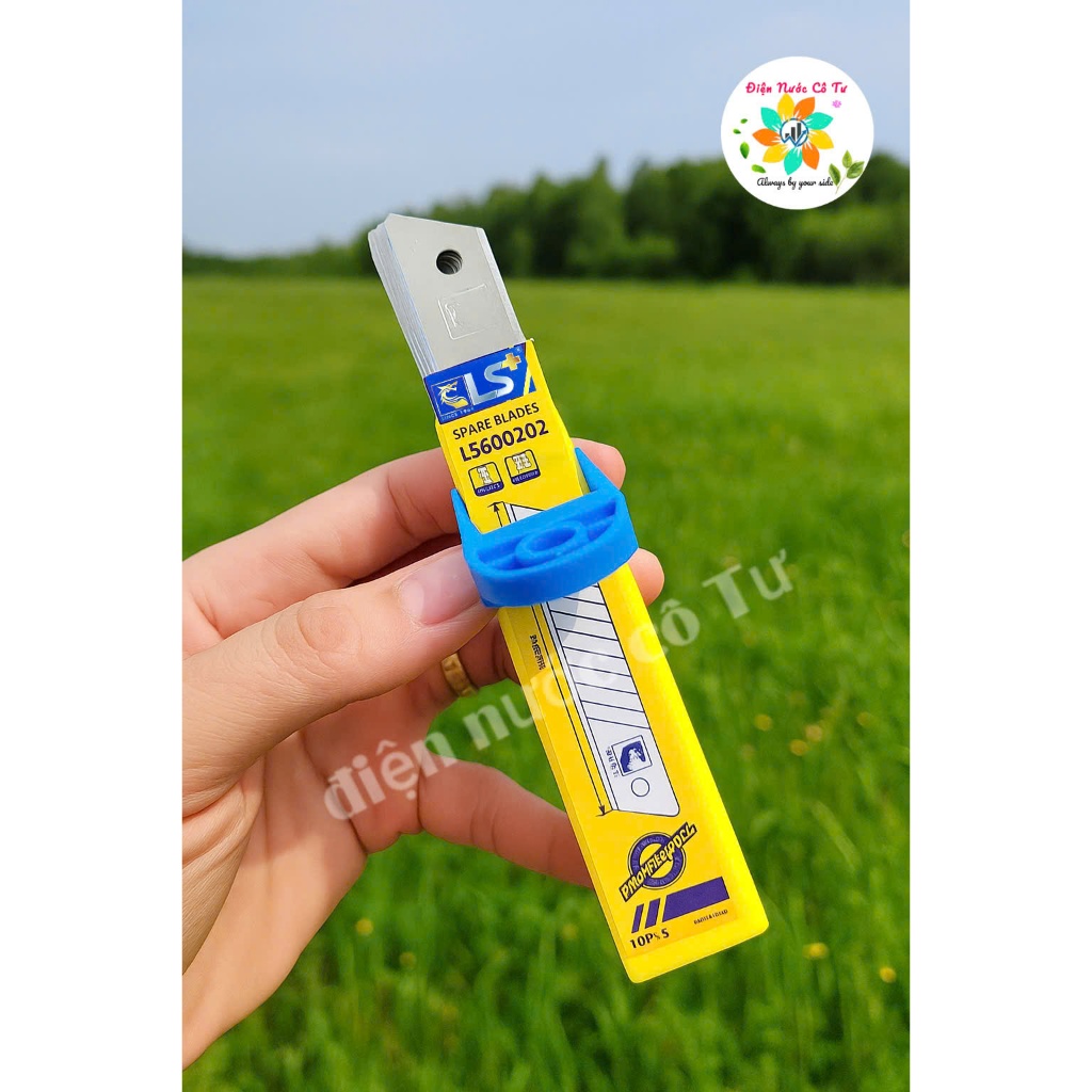Hộp 10 Lưỡi Dao Rọc Giấy Lớn LS