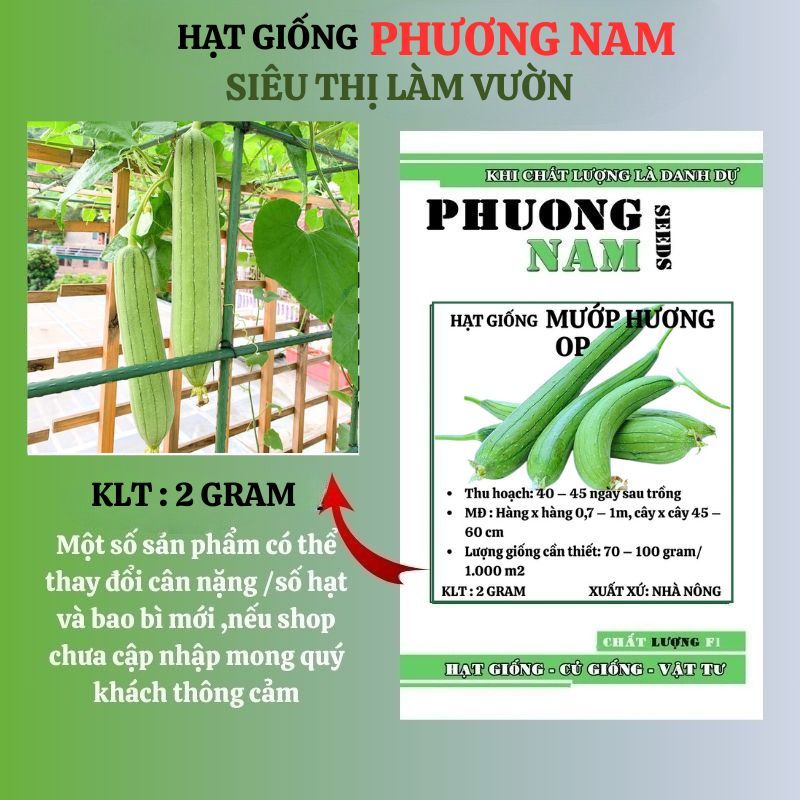 2 Gram - Hạt Giống Mướp Hương  Phương Nam