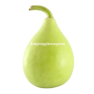 5 Hạt - Hạt Giống Bầu Hồ Lô Tròn Phương Nam