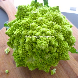 0,5 Gram - Hạt Giống Súp Lơ San Hô Phương Nam