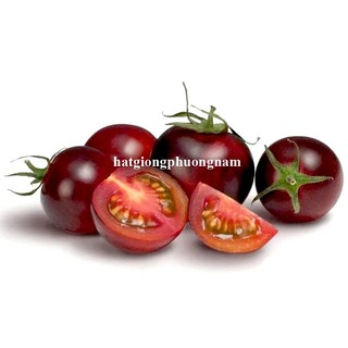 20 Hạt - Hạt Giống Cà Chua Chocolate Phương Nam
