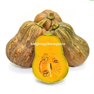 20 Hạt - Hạt Giống Bí Đỏ Hồ Lô F1 Phương Nam