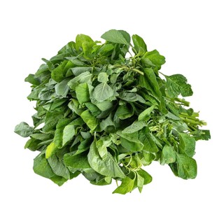 5 Gram - Hạt Giống Dền Cơm Phương Nam