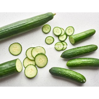 20 Hạt - Hạt Giống Dưa Chuột Nhật Phương Nam