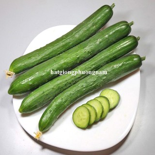 20 Hạt - Hạt Giống Dưa Chuột Nhật Phương Nam