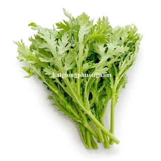 20 Gram - Hạt Giống Tần Ô Phương Nam