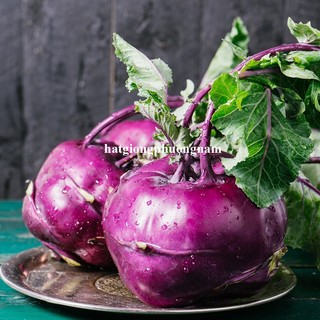 0,5 Gram - Hạt Giống Su Hào Tím Củ To Không Sơ Phương Nam