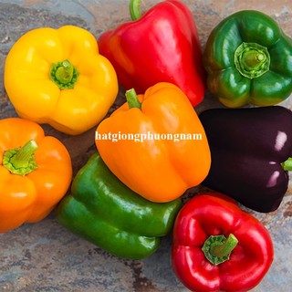 40 Hạt - Hạt Giống Ớt Chuông Phương Nam