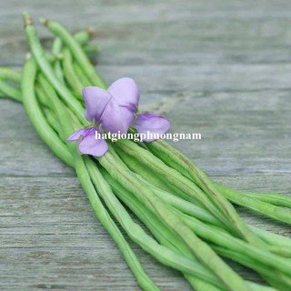 20 Gram - Hạt Giống  Đậu Đũa Phương Nam