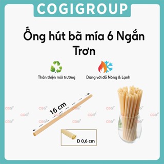 100 cái ống hút bã mía ,ống hút giấy trắng nhiều size dùng một lần COGIGROUP