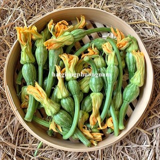 10 Hạt - Hạt Giống Bí Nụ Phương Nam