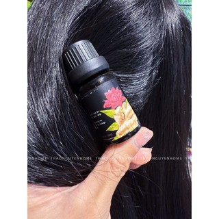 Tinh dầu gừng đỏ mọc tóc (tráng tóc massage)