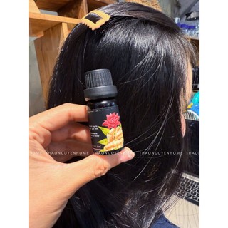 Tinh dầu gừng đỏ mọc tóc (tráng tóc massage)