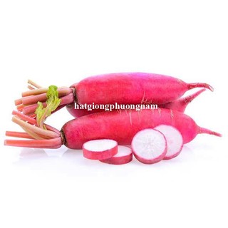 2gr - Hạt Giống Củ Cải Đỏ Dài Phương Nam