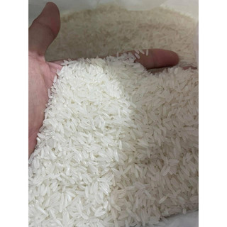 [HOẢ TỐC] GẠO ST25 TÚI 10KG ( Cơm Thơm , Dẻo Vừa , Đậm Vị)