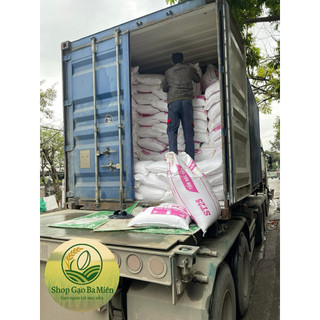 [HOẢ TỐC] GẠO ST25 TÚI 10KG ( Cơm Thơm , Dẻo Vừa , Đậm Vị)