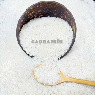 [HOẢ TỐC] GẠO ST25 TÚI 10KG ( Cơm Thơm , Dẻo Vừa , Đậm Vị)