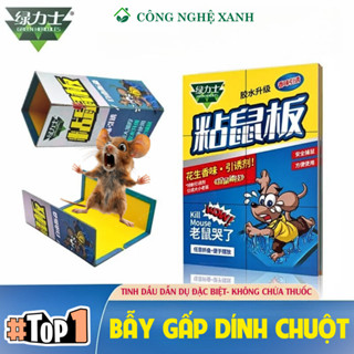  Keo dính chuột bẫy dính chuột cao cấp gấp 2 lần bám dính mùi thơm dẫn dụ chuột hiệu quả bẫy gập linh hoạt - Hecules XD 