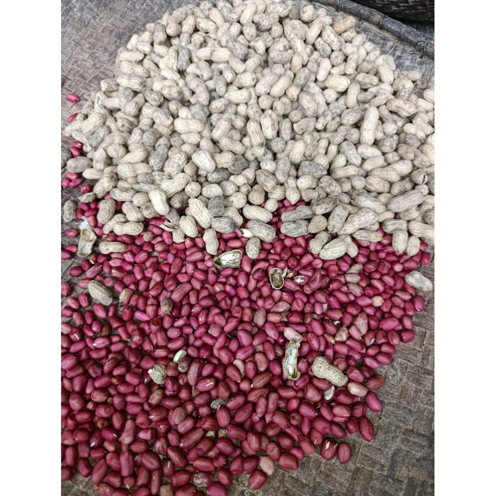 lạc đỏ bóc tay