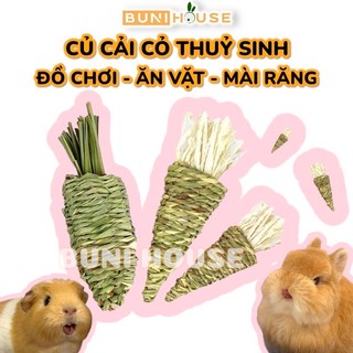 Củ cải cỏ bện đồ chơi mài răng gặm nhấm thư giãn cho thỏ bọ ú chinchilla Củ cải vô tri Bunihouse Buni House