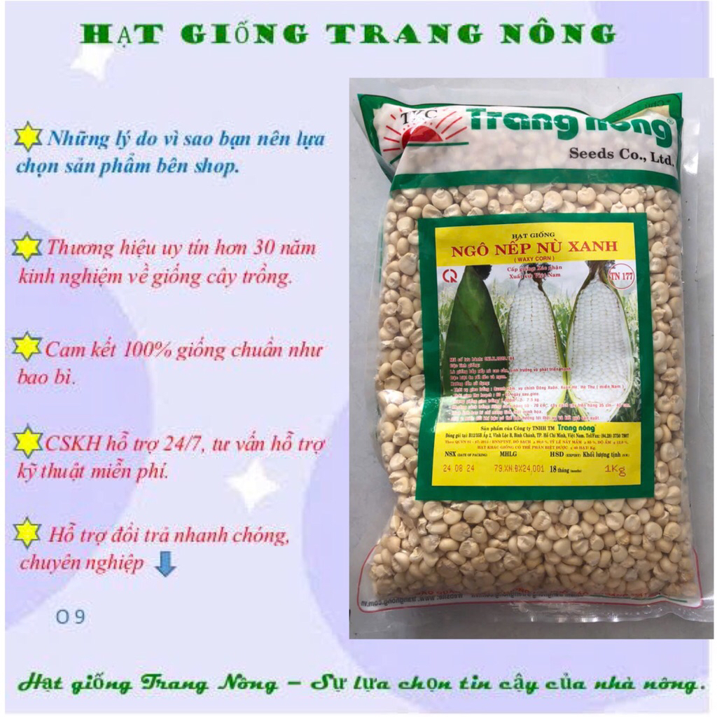 1kg Hạt giống bắp nếp nù, ngô nếp nù dẻo pngọt Trang Nông năng suất cao
