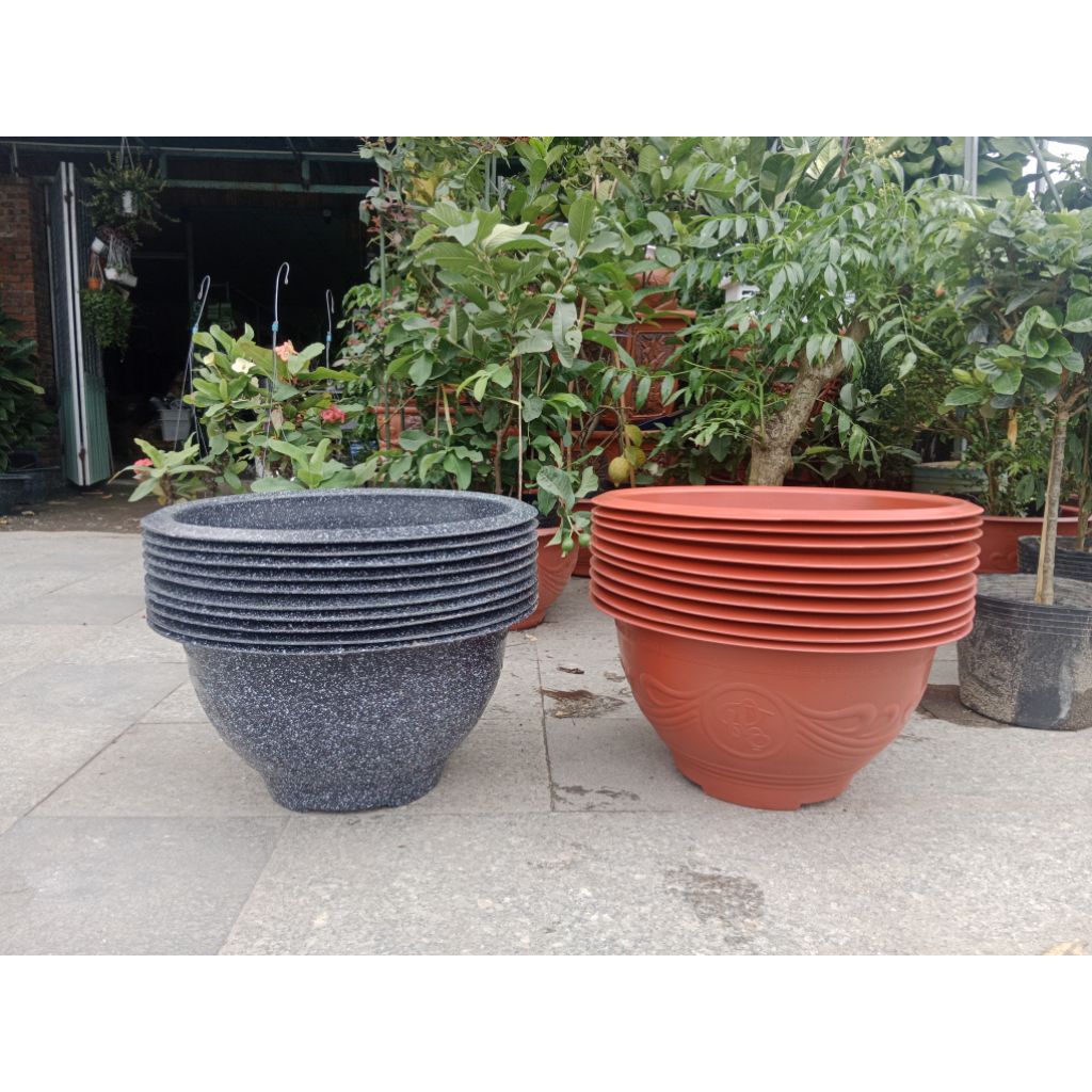 10 chậu nhựa tròn truyền thống, tròn T38, tròn T48