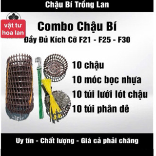    rẻ vô địch   Combo 10 chậu bí trồng lan nhựa Hd + 10 móc treo 70cm + 10 lưới lót chậu + 10 túi phân dê bón gốc 