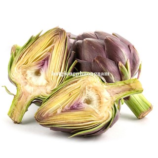 10 Hạt - Hạt Giống Atiso / Astiso  Tím Phương Nam