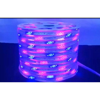 Dây Led 2835 nháy đuổi một ,hai,ba hàng bóng (combo 10m cả đk nháy)